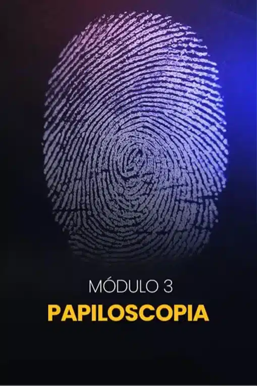 modulo8.webp